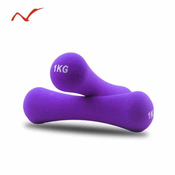 Dumbbell Women 1kg Fitness Equipment Weights Handweights Slimming Body Building Dumb Bell Exercise Dumbell 1Pc - TARAZONE