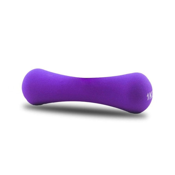 Dumbbell Women 1kg Fitness Equipment Weights Handweights Slimming Body Building Dumb Bell Exercise Dumbell 1Pc - TARAZONE